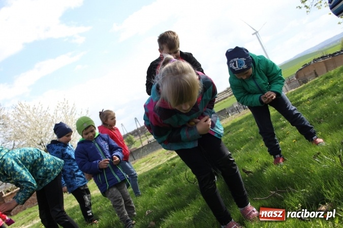 Zdjęcie w galerii na portalu naszraciborz.pl: Szukanie zajączka w wojnowickich ogrodach wiadomości z regionu