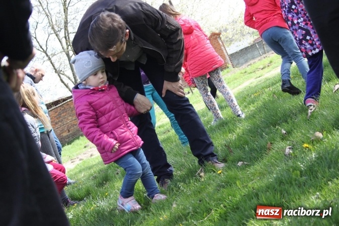 Zdjęcie w galerii na portalu naszraciborz.pl: Szukanie zajączka w wojnowickich ogrodach wiadomości z regionu