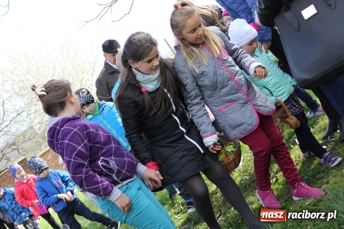 Zdjęcie w galerii na portalu naszraciborz.pl: Szukanie zajączka w wojnowickich ogrodach wiadomości z regionu