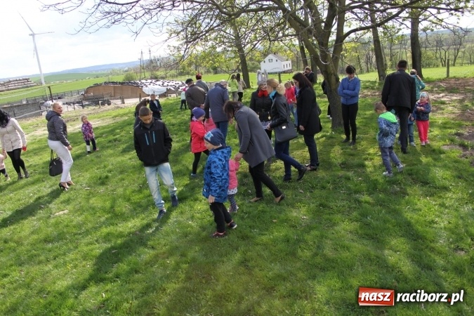 Zdjęcie w galerii na portalu naszraciborz.pl: Szukanie zajączka w wojnowickich ogrodach wiadomości z regionu
