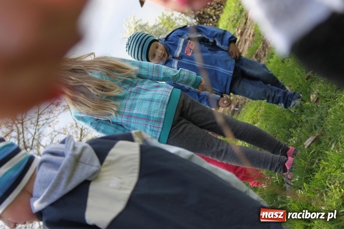 Zdjęcie w galerii na portalu naszraciborz.pl: Szukanie zajączka w wojnowickich ogrodach wiadomości z regionu