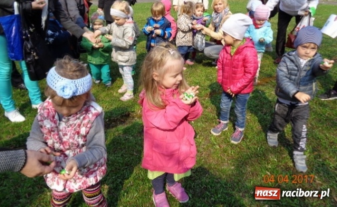 Zdjęcie w galerii na portalu naszraciborz.pl: Maluchy z Fiku-miku w świątecznej atmosferze wiadomości z regionu