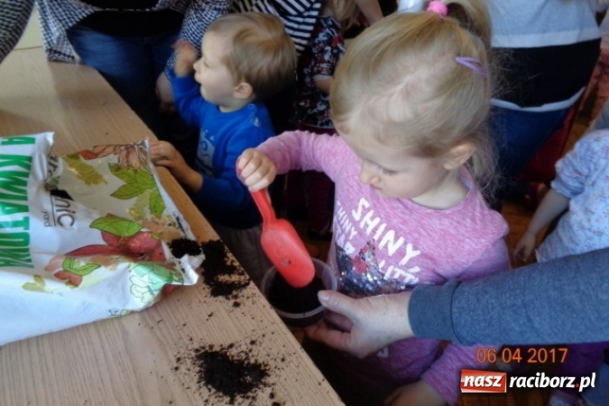 Zdjęcie w galerii na portalu naszraciborz.pl: Maluchy z Fiku-miku w świątecznej atmosferze wiadomości z regionu