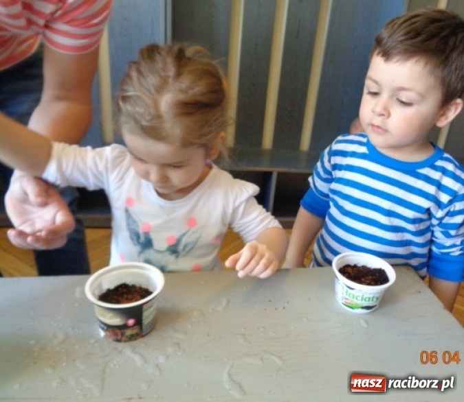 Zdjęcie w galerii na portalu naszraciborz.pl: Maluchy z Fiku-miku w świątecznej atmosferze wiadomości z regionu