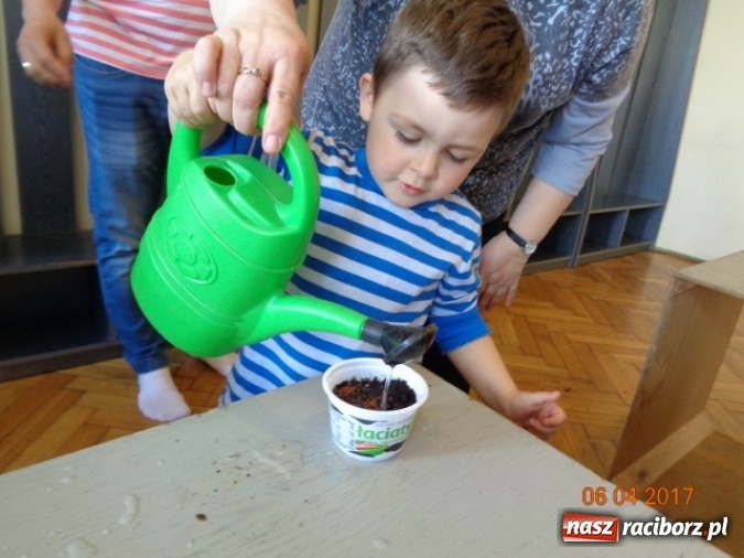 Zdjęcie w galerii na portalu naszraciborz.pl: Maluchy z Fiku-miku w świątecznej atmosferze wiadomości z regionu