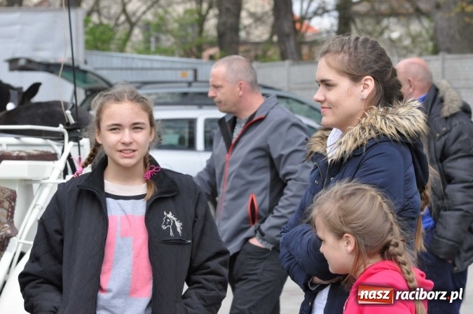 Zdjęcie w galerii na portalu naszraciborz.pl: Pietrowicka procesja konna na dwa jubileusze wiadomości z regionu