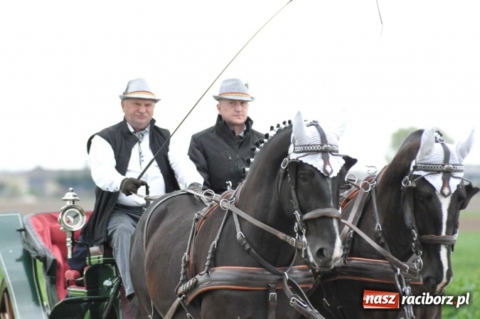 Zdjęcie w galerii na portalu naszraciborz.pl: Pietrowicka procesja konna na dwa jubileusze wiadomości z regionu