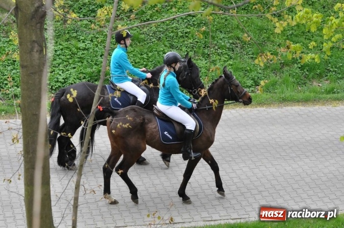 Zdjęcie w galerii na portalu naszraciborz.pl: Pietrowicka procesja konna na dwa jubileusze wiadomości z regionu