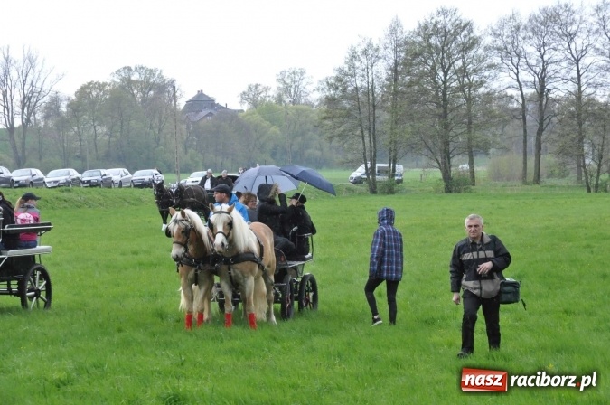 Zdjęcie w galerii na portalu naszraciborz.pl: Pietrowicka procesja konna na dwa jubileusze wiadomości z regionu