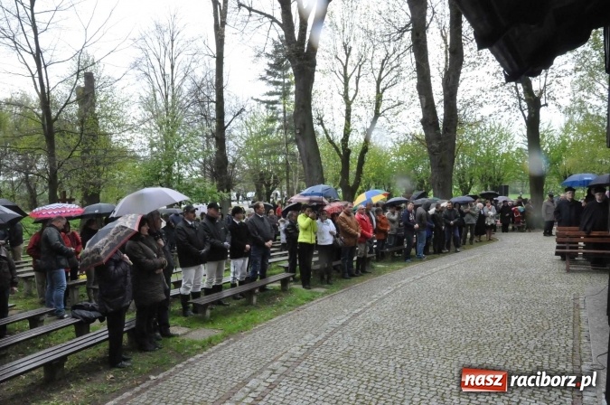 Zdjęcie w galerii na portalu naszraciborz.pl: Pietrowicka procesja konna na dwa jubileusze wiadomości z regionu