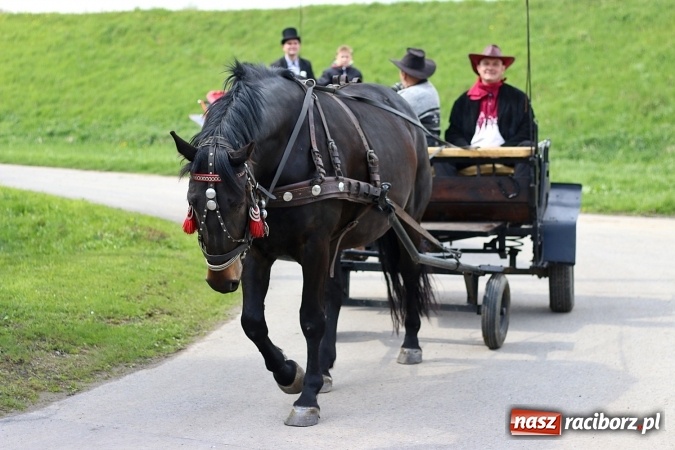 Zdjęcie w galerii na portalu naszraciborz.pl: Nadodrzańskim szlakiem - procesja wielkanocna w Zawadzie Książęcej wiadomości z regionu