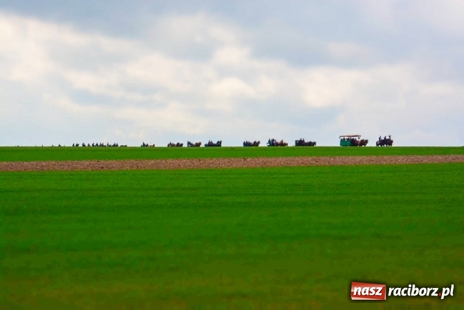 Zdjęcie w galerii na portalu naszraciborz.pl: Biskup, senator, starosta i wójt, czyli bieńkowicka procesja konna  wiadomości z regionu