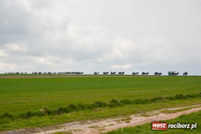 Zdjęcie w galerii na portalu naszraciborz.pl: Biskup, senator, starosta i wójt, czyli bieńkowicka procesja konna  wiadomości z regionu