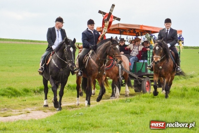 Zdjęcie w galerii na portalu naszraciborz.pl: Biskup, senator, starosta i wójt, czyli bieńkowicka procesja konna  wiadomości z regionu