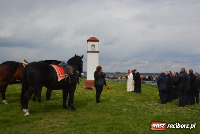 Zdjęcie w galerii na portalu naszraciborz.pl: Biskup, senator, starosta i wójt, czyli bieńkowicka procesja konna  wiadomości z regionu