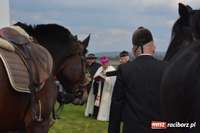 Zdjęcie w galerii na portalu naszraciborz.pl: Biskup, senator, starosta i wójt, czyli bieńkowicka procesja konna  wiadomości z regionu
