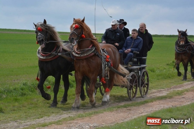 Zdjęcie w galerii na portalu naszraciborz.pl: Biskup, senator, starosta i wójt, czyli bieńkowicka procesja konna  wiadomości z regionu