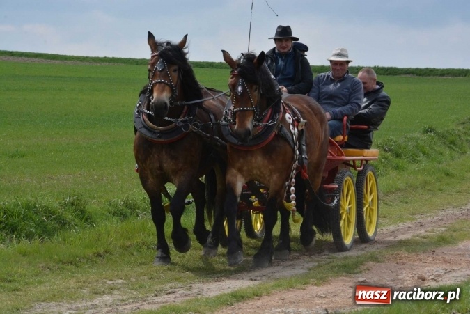 Zdjęcie w galerii na portalu naszraciborz.pl: Biskup, senator, starosta i wójt, czyli bieńkowicka procesja konna  wiadomości z regionu
