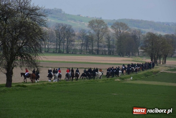 Zdjęcie w galerii na portalu naszraciborz.pl: Biskup, senator, starosta i wójt, czyli bieńkowicka procesja konna  wiadomości z regionu