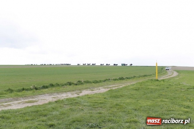 Zdjęcie w galerii na portalu naszraciborz.pl: Biskup, senator, starosta i wójt, czyli bieńkowicka procesja konna  wiadomości z regionu