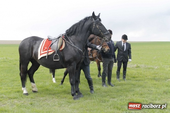 Zdjęcie w galerii na portalu naszraciborz.pl: Biskup, senator, starosta i wójt, czyli bieńkowicka procesja konna  wiadomości z regionu