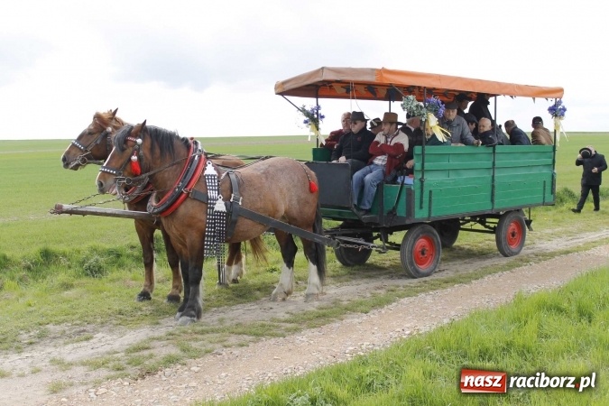 Zdjęcie w galerii na portalu naszraciborz.pl: Biskup, senator, starosta i wójt, czyli bieńkowicka procesja konna  wiadomości z regionu