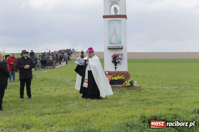 Zdjęcie w galerii na portalu naszraciborz.pl: Biskup, senator, starosta i wójt, czyli bieńkowicka procesja konna  wiadomości z regionu