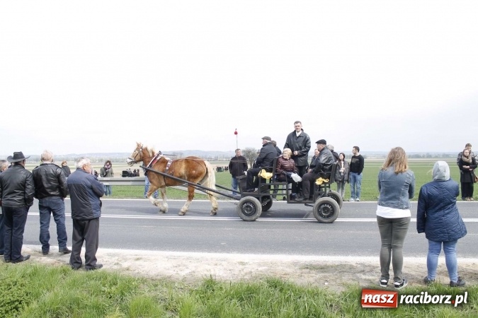 Zdjęcie w galerii na portalu naszraciborz.pl: Biskup, senator, starosta i wójt, czyli bieńkowicka procesja konna  wiadomości z regionu