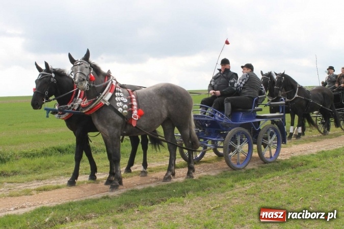 Zdjęcie w galerii na portalu naszraciborz.pl: Biskup, senator, starosta i wójt, czyli bieńkowicka procesja konna  wiadomości z regionu