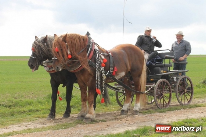 Zdjęcie w galerii na portalu naszraciborz.pl: Biskup, senator, starosta i wójt, czyli bieńkowicka procesja konna  wiadomości z regionu