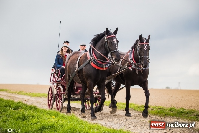Zdjęcie w galerii na portalu naszraciborz.pl: Wielkanocna procesja konna w Raciborzu-Sudole - początek i wyścigi na Topolowej wiadomości z regionu