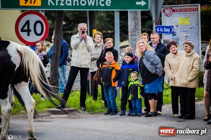 Zdjęcie w galerii na portalu naszraciborz.pl: Wielkanocna procesja konna w Raciborzu-Sudole - początek i wyścigi na Topolowej wiadomości z regionu