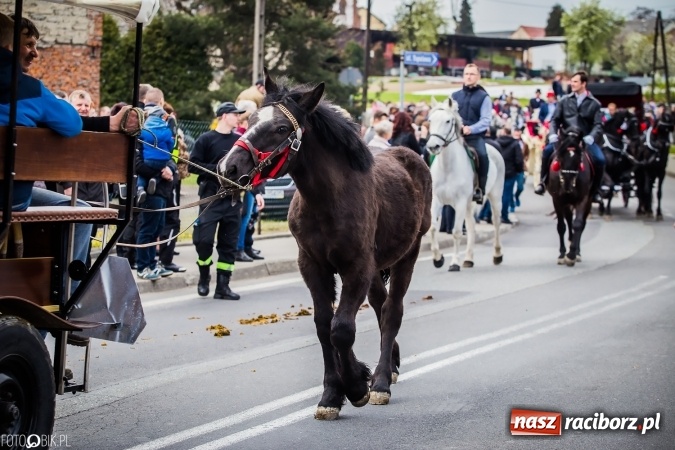 Zdjęcie w galerii na portalu naszraciborz.pl: Wielkanocna procesja konna w Raciborzu-Sudole - początek i wyścigi na Topolowej wiadomości z regionu