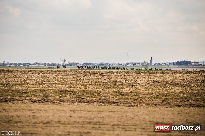 Zdjęcie w galerii na portalu naszraciborz.pl: Wielkanocna procesja konna w Raciborzu-Sudole - początek i wyścigi na Topolowej wiadomości z regionu