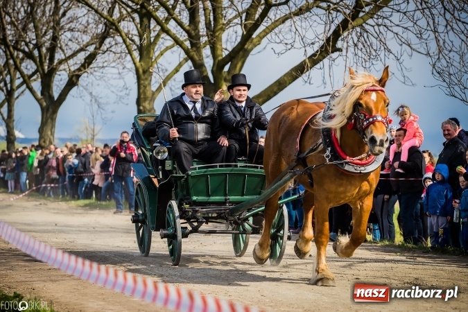 Zdjęcie w galerii na portalu naszraciborz.pl: Wielkanocna procesja konna w Raciborzu-Sudole - początek i wyścigi na Topolowej wiadomości z regionu