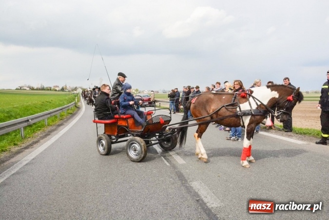 Zdjęcie w galerii na portalu naszraciborz.pl: Ponad setka koni na wielkanocnej procesji w Raciborzu-Sudole wiadomości z regionu