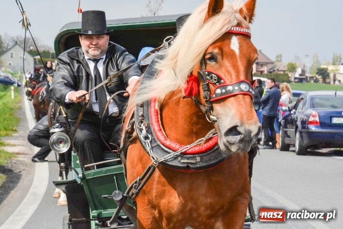 Zdjęcie w galerii na portalu naszraciborz.pl: Ponad setka koni na wielkanocnej procesji w Raciborzu-Sudole wiadomości z regionu