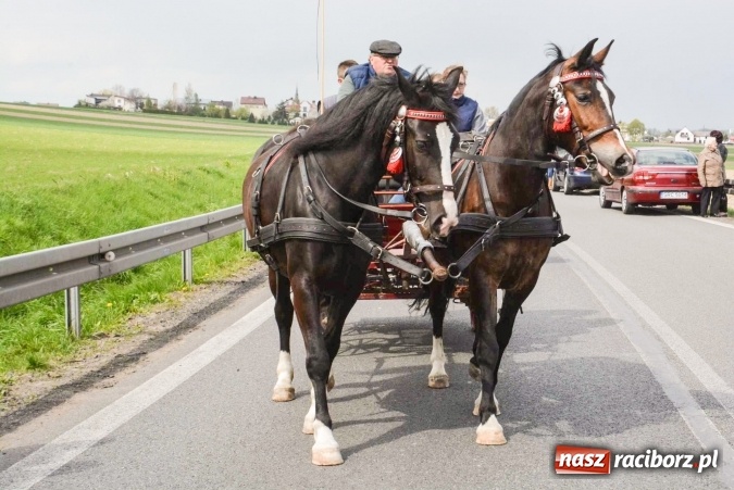 Zdjęcie w galerii na portalu naszraciborz.pl: Ponad setka koni na wielkanocnej procesji w Raciborzu-Sudole wiadomości z regionu