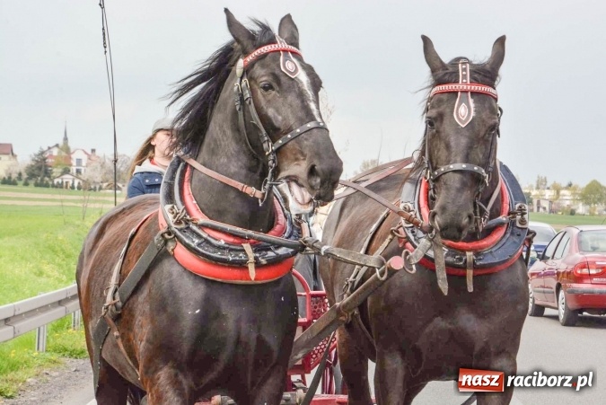 Zdjęcie w galerii na portalu naszraciborz.pl: Ponad setka koni na wielkanocnej procesji w Raciborzu-Sudole wiadomości z regionu