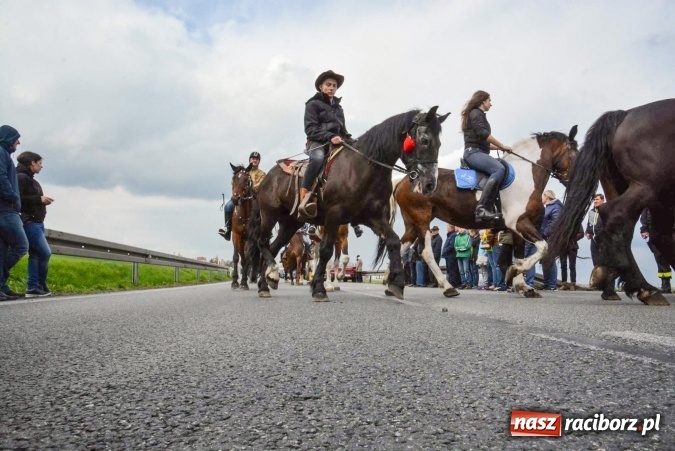 Zdjęcie w galerii na portalu naszraciborz.pl: Ponad setka koni na wielkanocnej procesji w Raciborzu-Sudole wiadomości z regionu