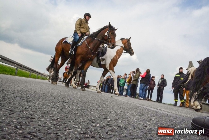 Zdjęcie w galerii na portalu naszraciborz.pl: Ponad setka koni na wielkanocnej procesji w Raciborzu-Sudole wiadomości z regionu