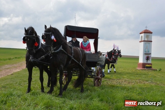 Zdjęcie w galerii na portalu naszraciborz.pl: Ponad setka koni na wielkanocnej procesji w Raciborzu-Sudole wiadomości z regionu