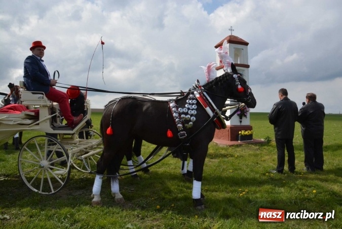 Zdjęcie w galerii na portalu naszraciborz.pl: Ponad setka koni na wielkanocnej procesji w Raciborzu-Sudole wiadomości z regionu