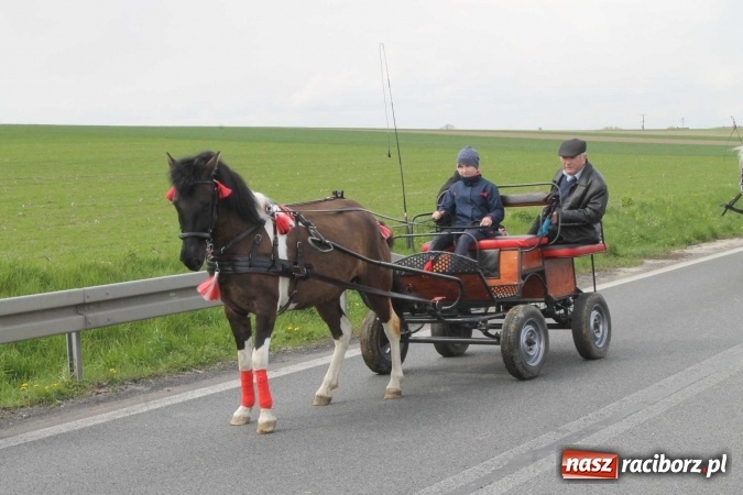 Zdjęcie w galerii na portalu naszraciborz.pl: Ponad setka koni na wielkanocnej procesji w Raciborzu-Sudole wiadomości z regionu