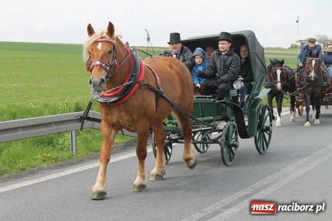 Zdjęcie w galerii na portalu naszraciborz.pl: Ponad setka koni na wielkanocnej procesji w Raciborzu-Sudole wiadomości z regionu