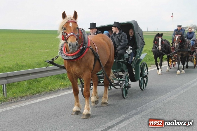 Zdjęcie w galerii na portalu naszraciborz.pl: Ponad setka koni na wielkanocnej procesji w Raciborzu-Sudole wiadomości z regionu