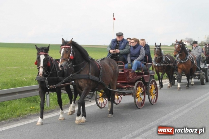Zdjęcie w galerii na portalu naszraciborz.pl: Ponad setka koni na wielkanocnej procesji w Raciborzu-Sudole wiadomości z regionu