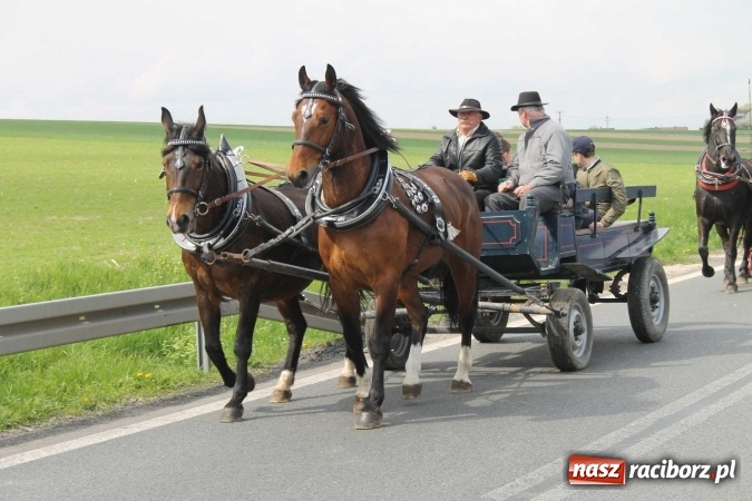Zdjęcie w galerii na portalu naszraciborz.pl: Ponad setka koni na wielkanocnej procesji w Raciborzu-Sudole wiadomości z regionu