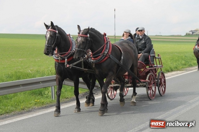 Zdjęcie w galerii na portalu naszraciborz.pl: Ponad setka koni na wielkanocnej procesji w Raciborzu-Sudole wiadomości z regionu