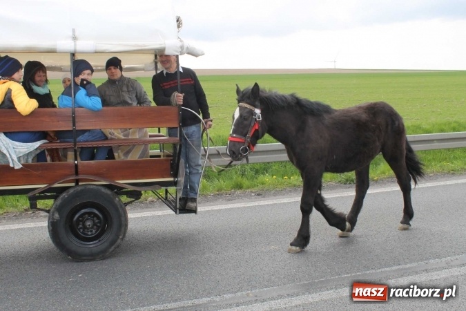 Zdjęcie w galerii na portalu naszraciborz.pl: Ponad setka koni na wielkanocnej procesji w Raciborzu-Sudole wiadomości z regionu